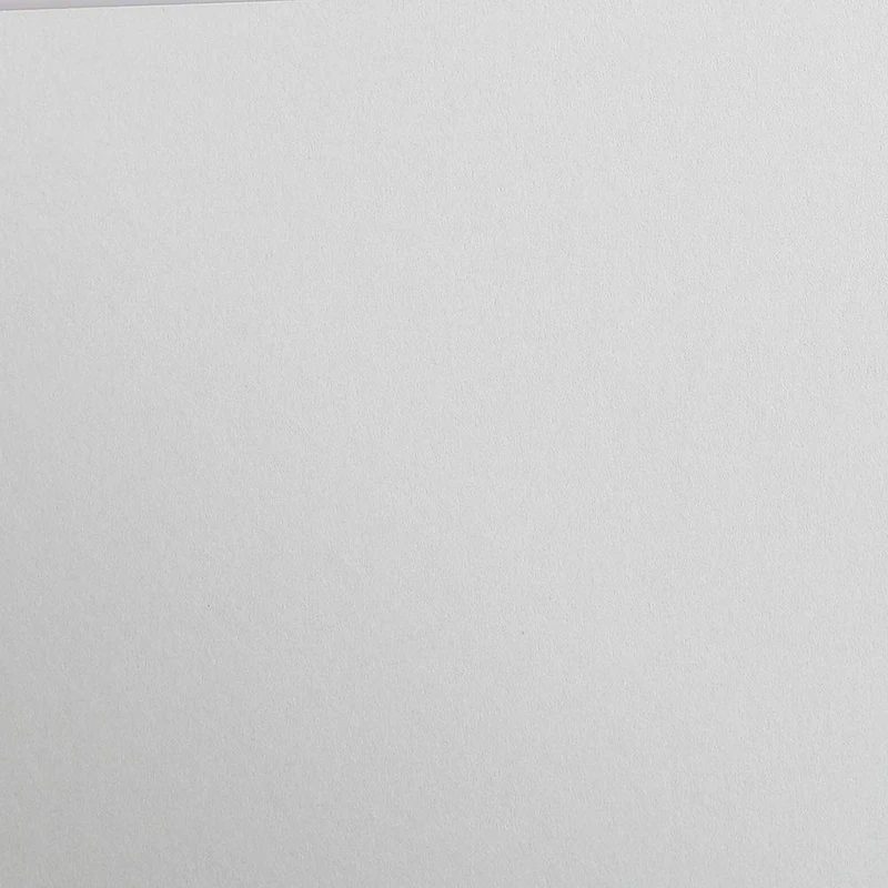 Clairefontaine - Ref 48172C - Maya Coloured Smooth Drawing Paper (Pack of 25 Sheets) - 270gsm Paper - A2 (59.4 x 42cm) - Light Grey Colour - Deep Dyed, Acid Free, pH Neutral