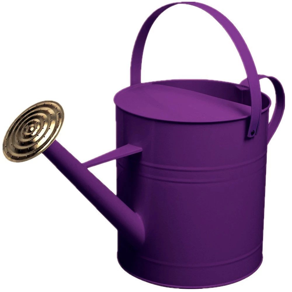 CrazyGadget Garden Plant Flower Colour Galvanised Metal Steel Watering Can 9L 9 Litre / 2 Gallon with Brass Rose (Purple)
