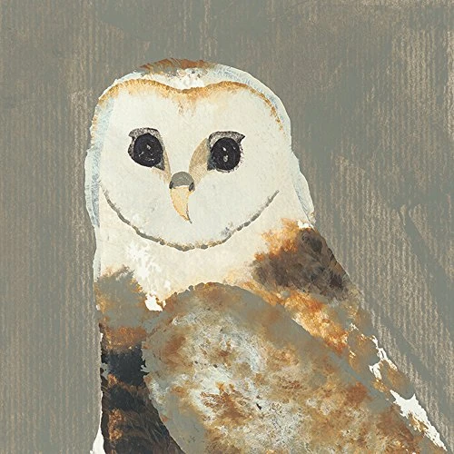 Julia Burns "Barn Owl Canvas Print, Multi-Colour, 40 x 40 cm
