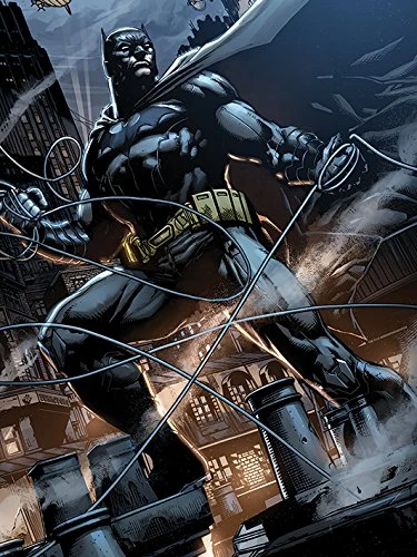 DC Comics Batman "Rooftop" Canvas Prints, Multi-Colour, 60 X 80 cm