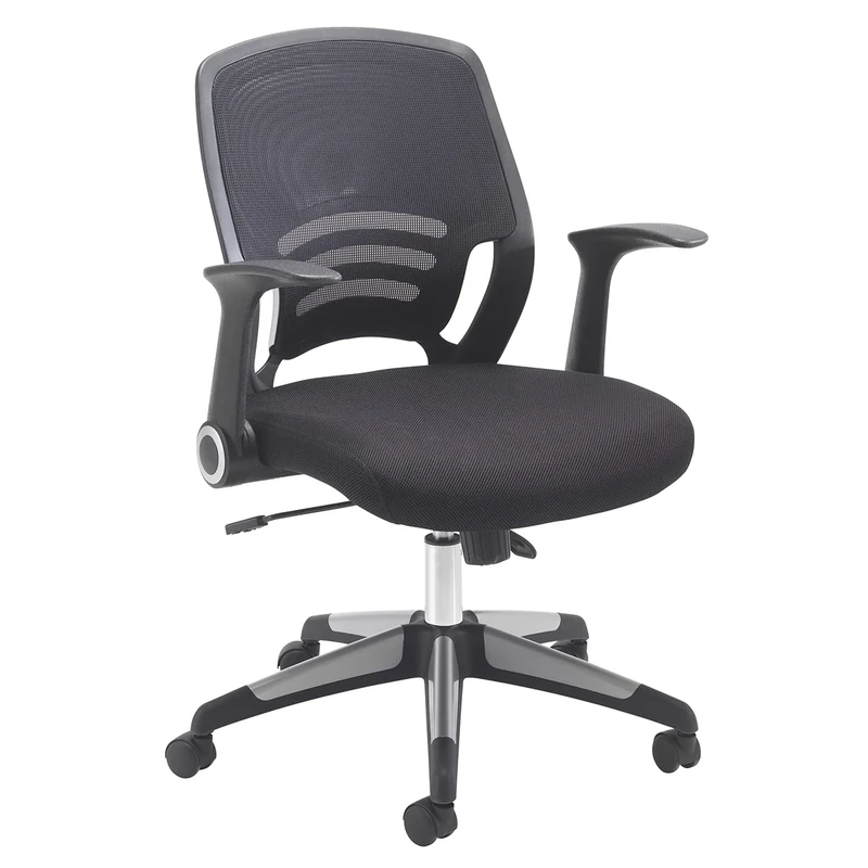 Office Hippo Desk Chair, Ergonomic Mesh Back Computer Chair With Synchro Recline and Folding, Flip-Up Arms, Black