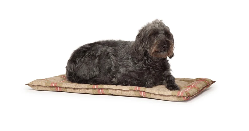 Danish Design Newton Moss Hard Wearing Fabric Comfortable Dog/Puppy Cage Mattress 75 x 121cm 2X-Large