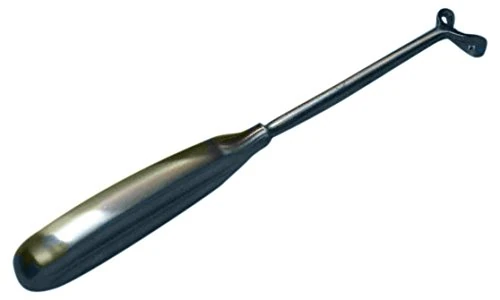 Holtex ic35618 St-Clair Knife of Thomson, with Basket, 21 "Length x 18 mm Diameter - Image 1