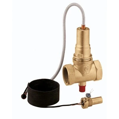 Caleffi 541080 VAL.INT.Comb.100C 11/2 5MT
