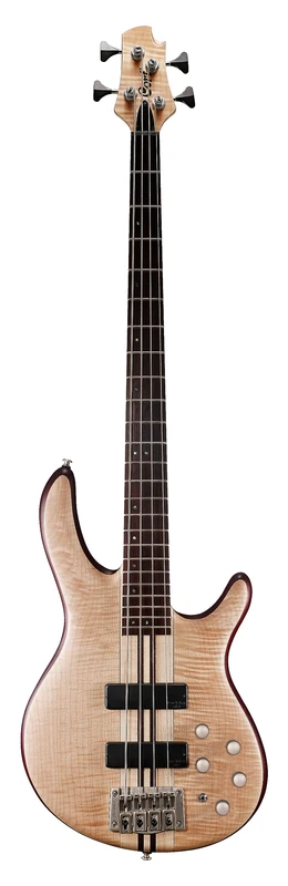 Economy 4 Strings, Modern Design with Double Cutaway Guitar