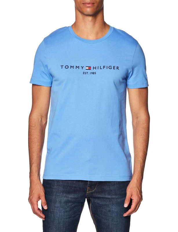 Tommy Hilfiger Men Tommy Logo Tee S/S T-Shirts, Blue, XS
