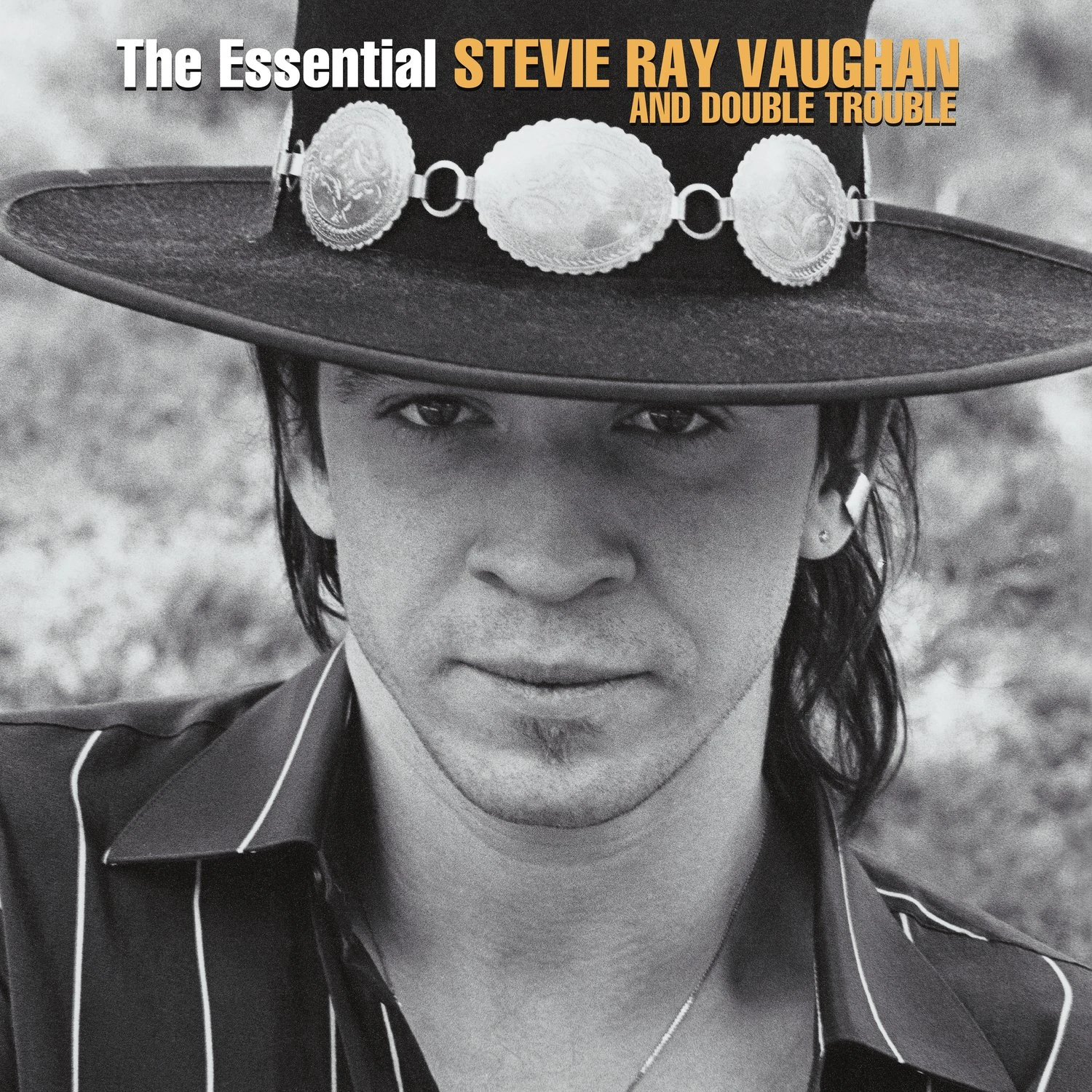 The Essential Stevie Ray Vaughan And Double Trouble [VINYL]