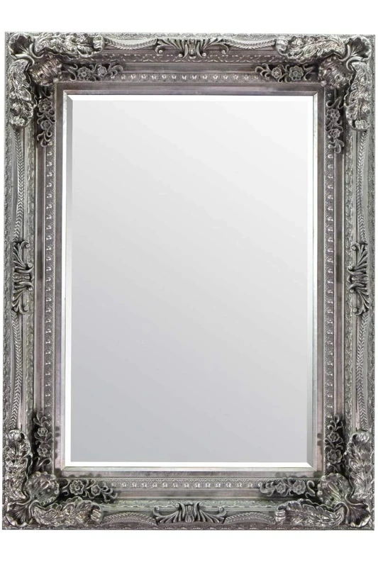 Gallery Carved Louis Mirror Silver 47x35.5 BL-5055299406342