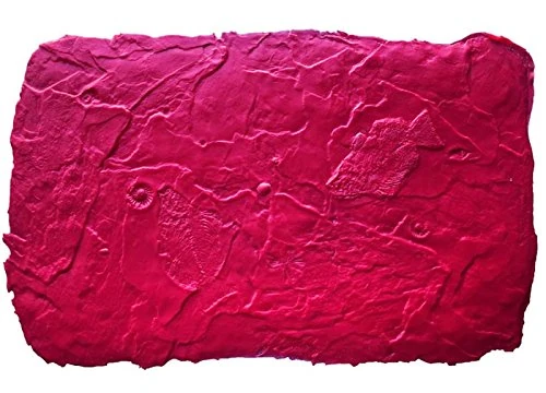 Bon 32-683 Fossil Stamp-Sea Floor