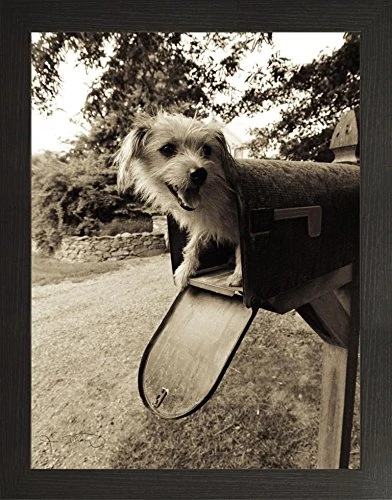 Frame Company Watson Range You ve Got Mail by Jim Dratfield, Frame - A1, Black