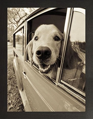 Frame Company Watson Range Are We There Yet by Jim Dratfield, Frame - A1, Black