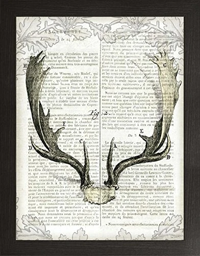 Frame Company Watson Range Regal Antlers on Newsprint II by Sue Schlabach, Frame - A1, Black