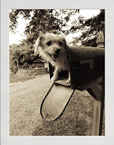 Frame Company Watson Range You ve Got Mail by Jim Dratfield, Frame - A2, White