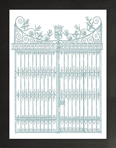 Frame Company Watson Range English GardenIV by Wild Apple Portfolio, Frame - A2, Black