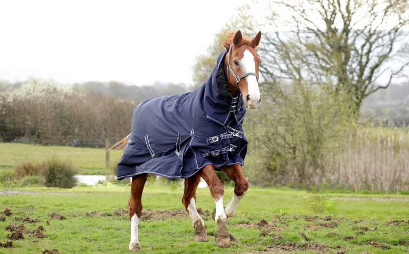 Rhinegold 0 Rhinegold Full Neck Arizona - Mediumweight 100gsm Polyfill Outdoor rug, Navy, 6 UK
