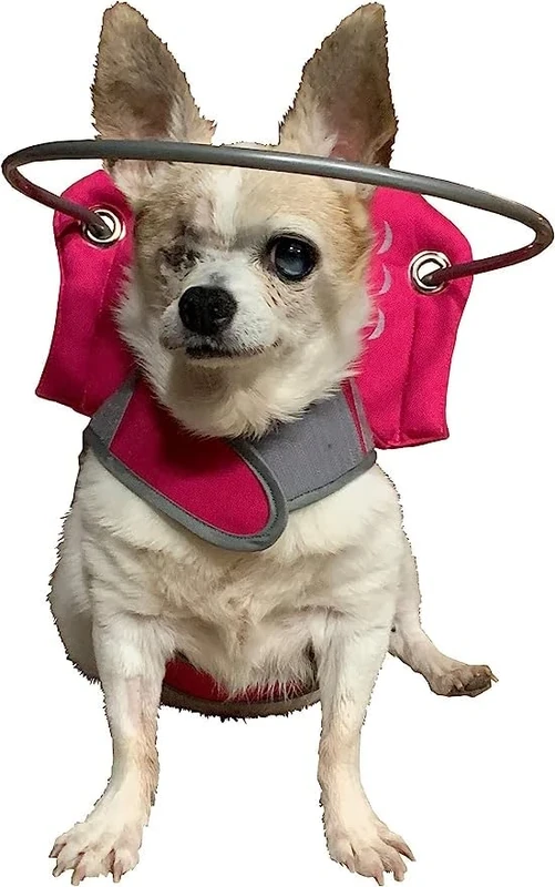 Muffin's Blind Dog Clubhouse Halo Guide, 2X-Small, White