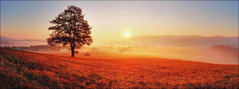 PRO ART PICTURES GLA1301 °C Lonely Tree Glass Art Multi-coloured 30 x 80 x 1/2 "