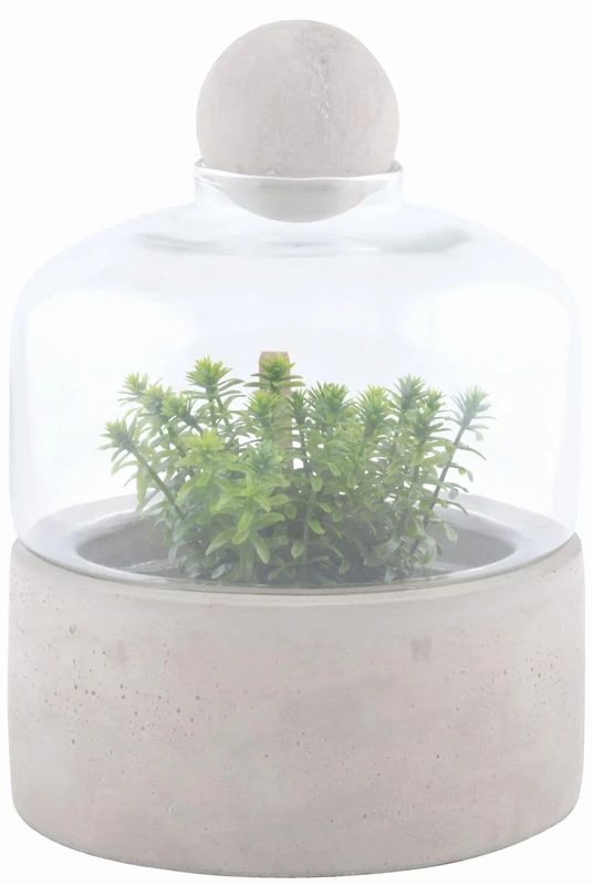 Esschert Design AGG43 Bottle Terrarium Planter with Concrete Base, Small, White