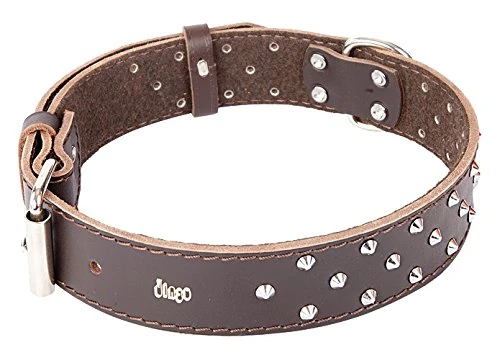 Dingo Designed Leather Dog Collar, Lined with Felt, Decorative Studs, Durable, Brown 12490 - Image 1