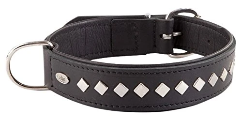 Dingo Dog Collar Made of Exclusive Soft Leather, Decorative and Durable Black 11441