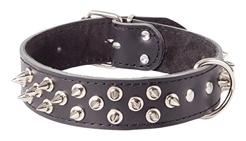 Dingo Black Grain Leather Collar for Dog, Lined with Suede, Decorative Spikes Protection Against Being Bitten 12155