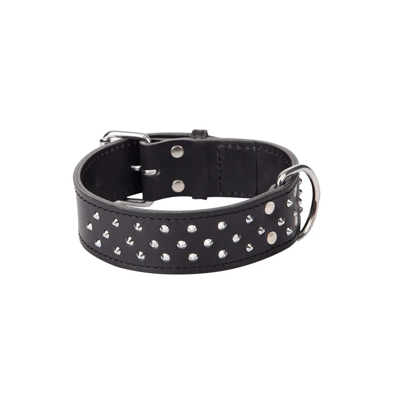 Dingo Predatory Dog Collar from Double Stapled Leather, Lined, Elegant Decorated with Studs, Black 12113