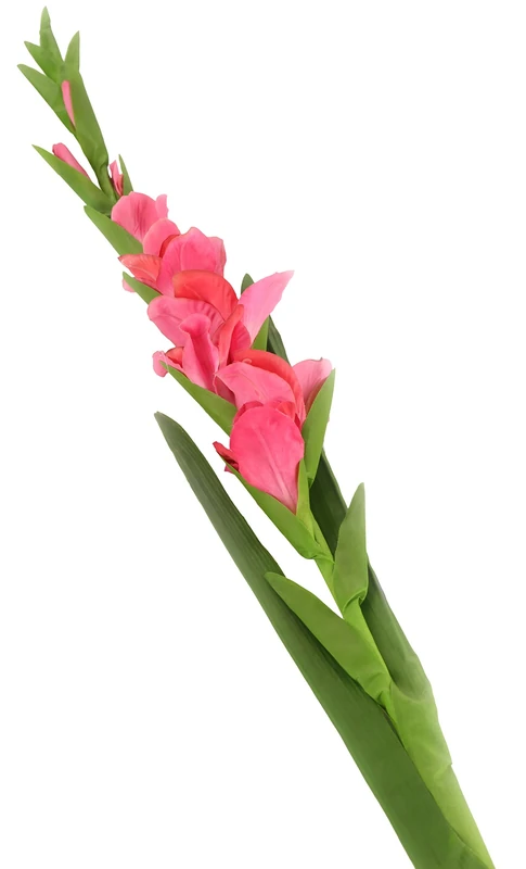 Floral Elegance Artificial 118cm Single Stem Pink Gladioli Flowers x 6