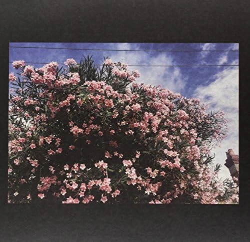 Drag It Down On You [VINYL]