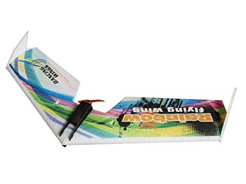 Dancing Wings Hobby RC Aeroplane Upgrade 31" Delta Wing EPP Airplane Model ZAGI Plane Rainbow Fly Wing 800mm Wingspan KIT Tail-pusher Version E0511