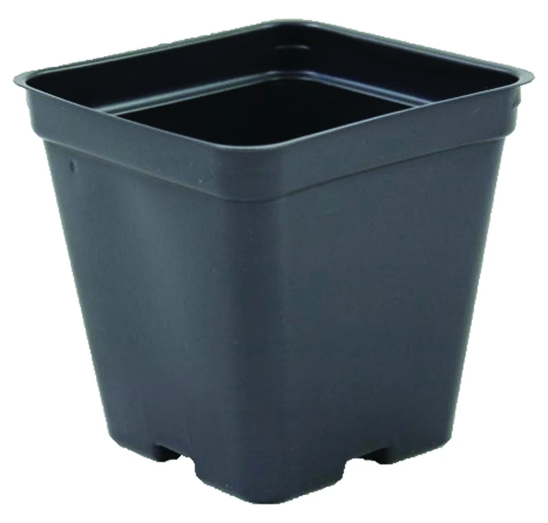 Grower's Solution Square Greenhouse Pots 3.5 inch x 3.5 inch- Black - Plastic - Deep - Case of 450