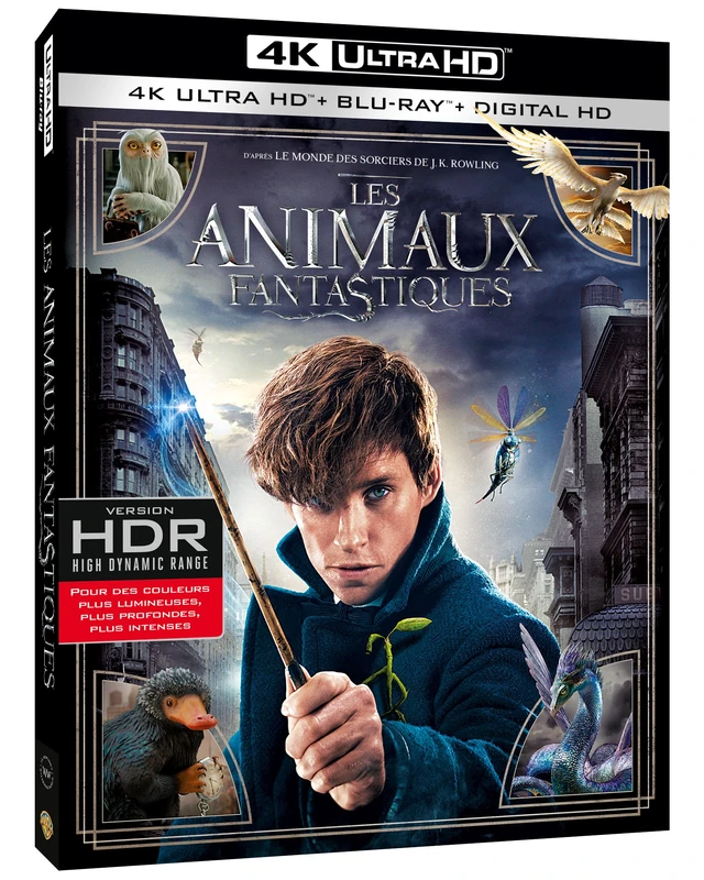 Les animaux fantastiques [Blu-ray 4K]