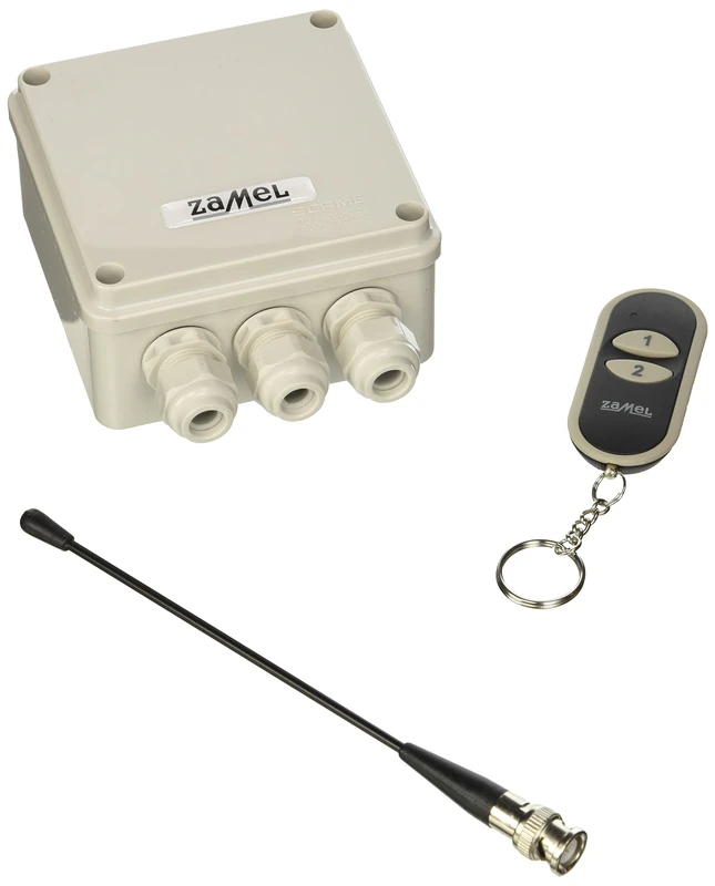 Etero remote switch, 2-channel, pack of 1, RWS-211D/12V/N