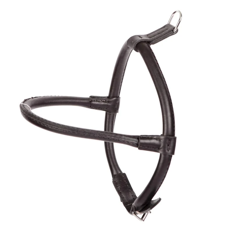 Dingo Black Leather Harness for Chow Chow and Furry Dog Breed 10574