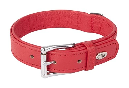 Dingo Dog Collar Handmade of Noble Leather (Aniline) Rare High Quality Red 13811