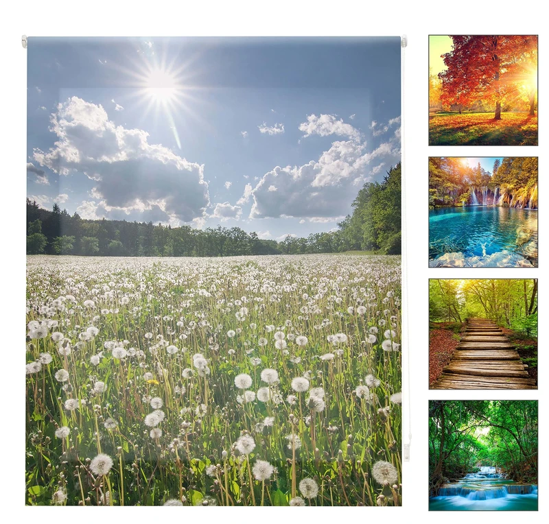 Blindecor Digital Landscapes | Translucent Roller Blind with Digital Print | 110 x 180 cm (W x H) Fabric Size 107 x 175 cm | Window Blinds