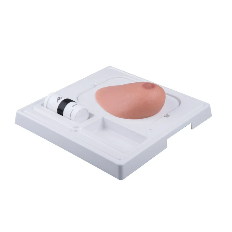3B Scientific SONOtrain Breast model with tumours