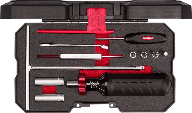 Carolus Rdks Mounting Kit, 12 Pieces, 1 Piece, 0499.2011