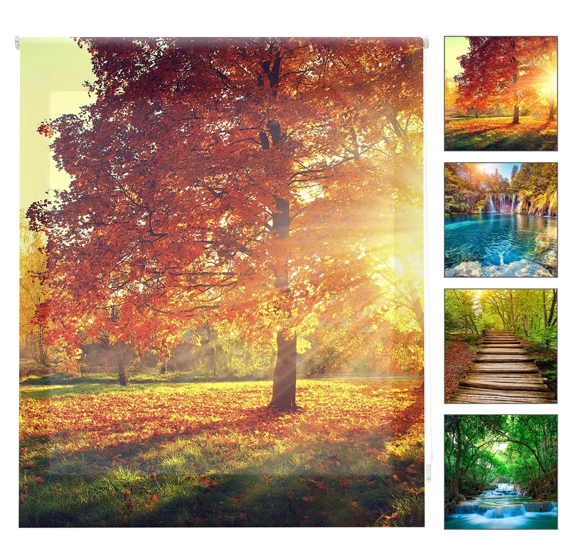 Blindecor W-P-37235 – Translucent Roller Blind, Digital Print, 130 x 180 cm, Multi-Coloured