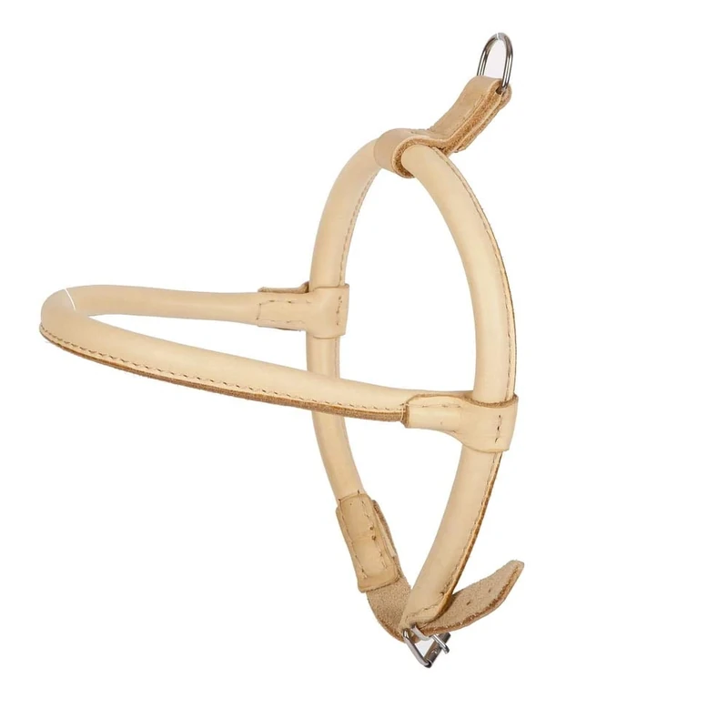 Dingo Natural Leather Harness for Chow Chow and Furry Dog Breed 10669