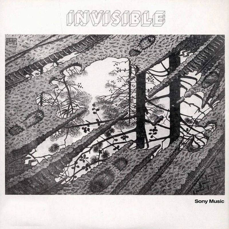 Invisible [VINYL]