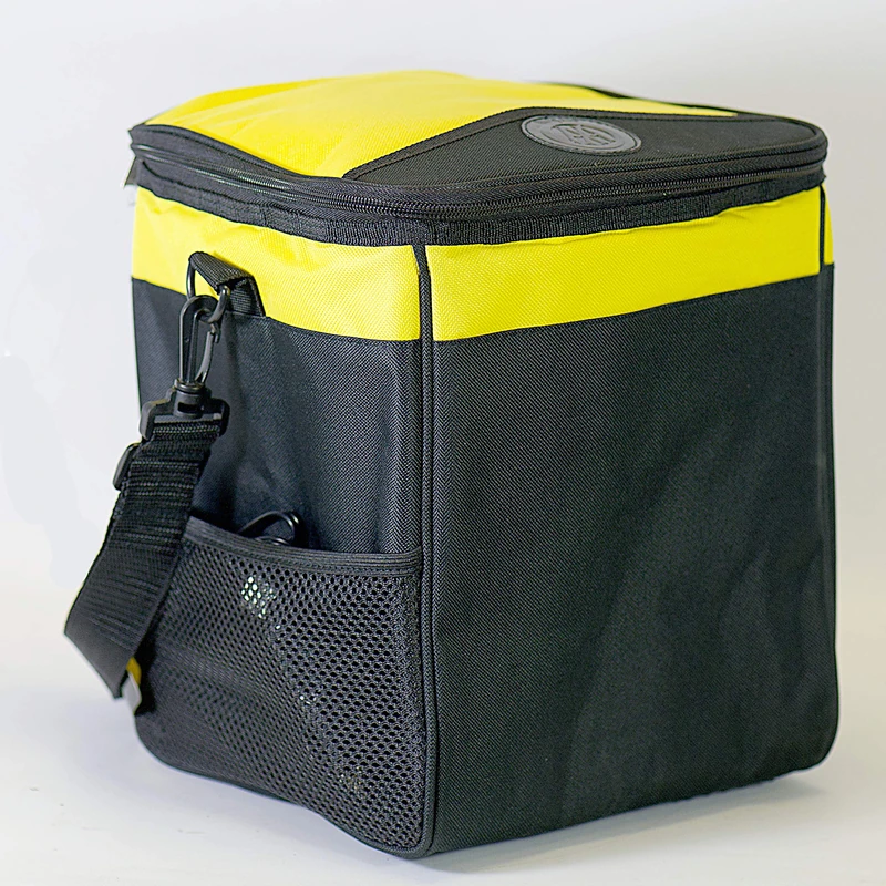 AA AA1685 Cooler Bag - 12V 13L Capacity For Summer Family Picnics Days Out - Keeps Food And Drinks Fresh , Black