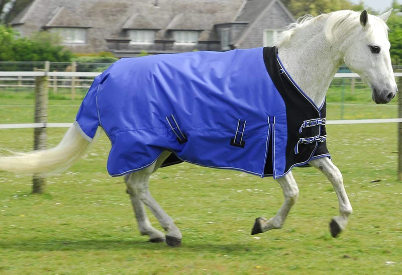Rhinegold Elite Storm 200g Horse Turnout Rug Mediumweight with Neck 6.6, Sapphire Blue