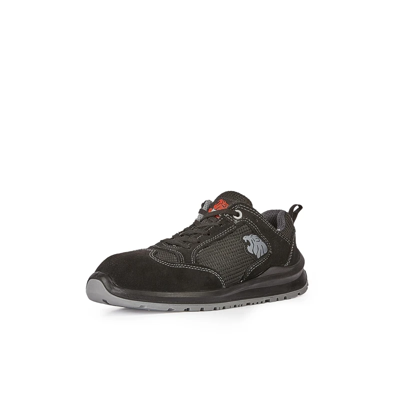 Robert S1P SRC - T: 46