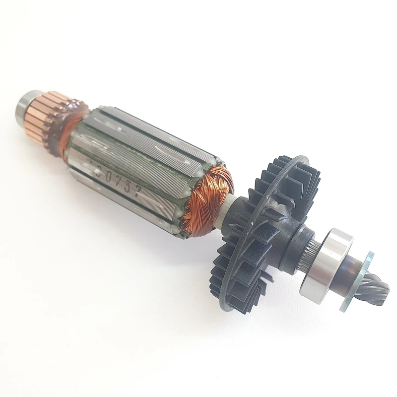 Rotor BS 75 E ET-BG - Plug (230 V) - Image 1