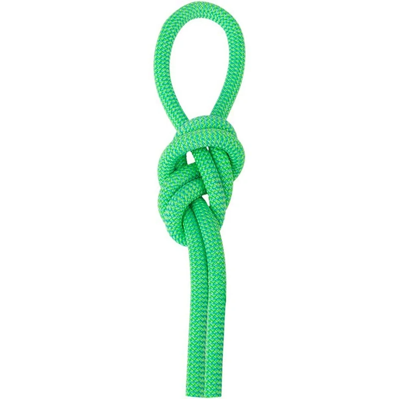Salewa Speed Queen 9,1 Mm Rope, Green/Blue, 60, Unisex