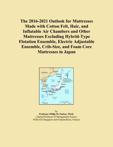 The 2016-2021 Outlook for Mattresses Made with Cotton Felt, Hair, and Inflatable Air Chambers and Other Mattresses Excluding Hybrid-Type Flotation ... Crib-Size, and Foam Core Mattresses in Japan