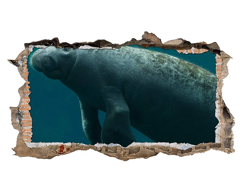 S805 Manatee Ocean Blue Animals Smashed Wall Decal 3D Art Stickers Vinyl RoomKids Bedroom Baby Nursery Cool Livingroom Hall Boys Girls (HUGE (100x175cm))
