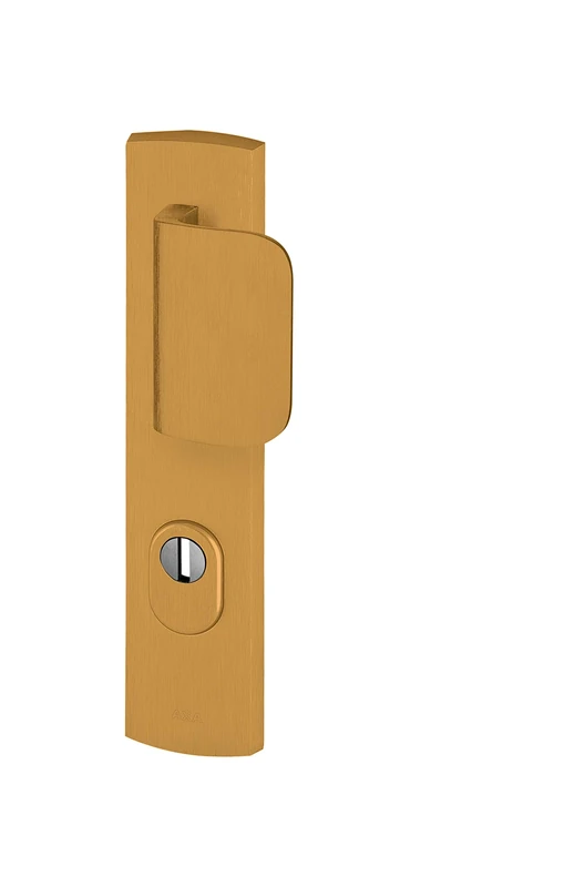 Bricard 9920031 Set of Armoured Handles on Plate EMUST Bearing Kickstand + Wing for Entrance Door (for European Cylinder), Gold Colour