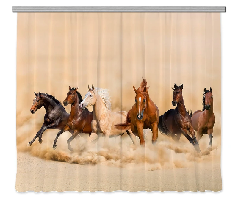 AG Design Curtains, 3D Photo Print, Light, 100% PES, Multicolor, 280 x 245 cm/ 110,2 x 96,5 inches