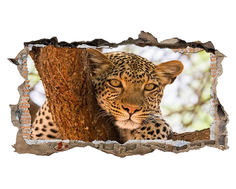 S777 Jaguar Cat Tree Wild Animals Smashed Wall Decal 3D Art Stickers Vinyl RoomKids Bedroom Baby Nursery Cool Livingroom Hall Boys Girls (HUGE (100x175cm))